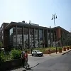 Semmelweis Üniversitesi - Budapeşte
