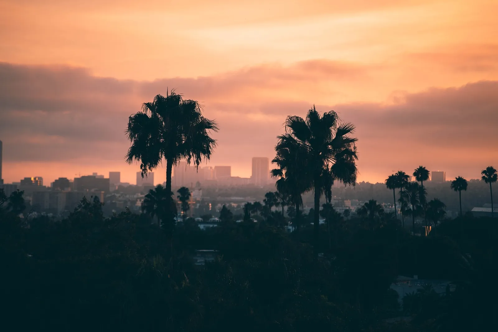 Los Angeles Dil Okulları