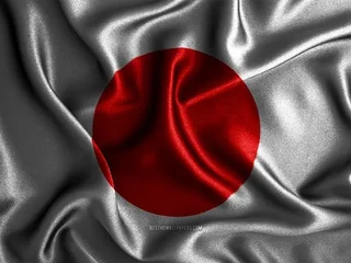 Japonya Dil Okulları