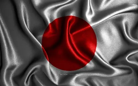 Japonya Dil Okulları